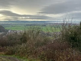 Coffee Time on Manley Common walk