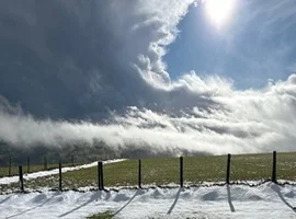 Coffee Time on Manley Common walk