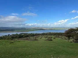 Coffee Time on Manley Common walk